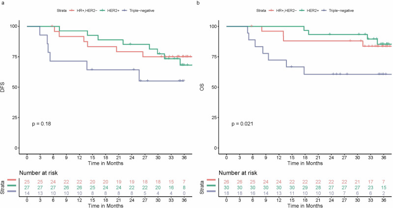Clinicopathological and molecular characterization of inflammatory breast cancer, the prospective INFLAME registry study.