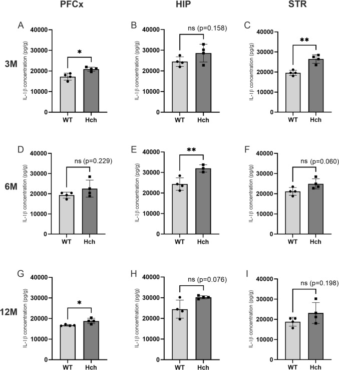Hypercholesterolemia Duration and Brain Area Determine Inflammatory Response Intensity and Apoptotic Mediator Activation in Apo E<sup>-/-</sup>/LDLR<sup>-/-</sup> Double-Knockout Mice.