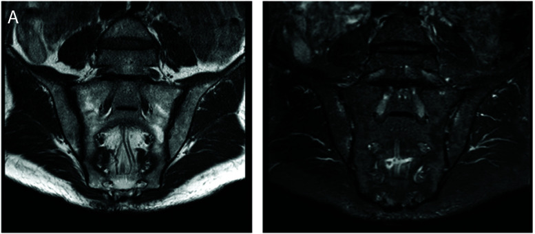 Abstract Image
