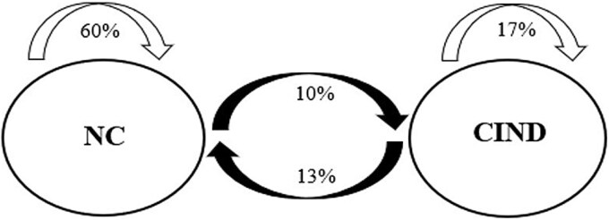 Longitudinal Patterns and Predictors of Cognitive Impairment Classification Stability.