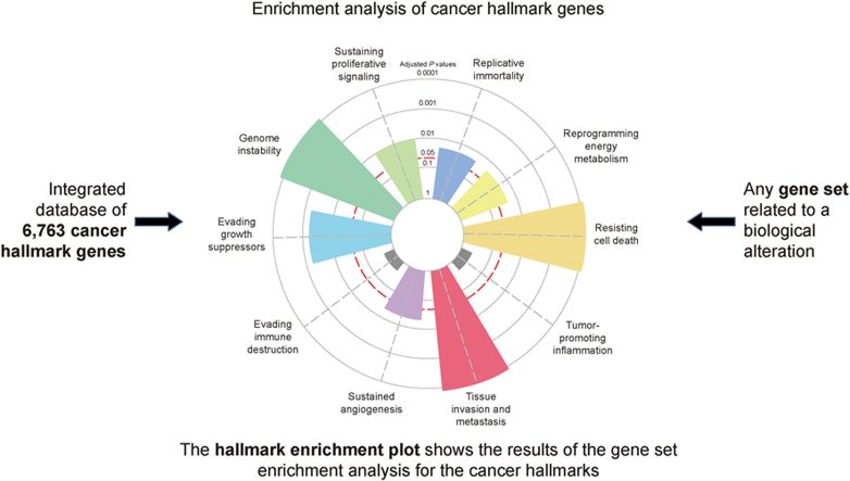 A gene set enrichment analysis for cancer hallmarks.