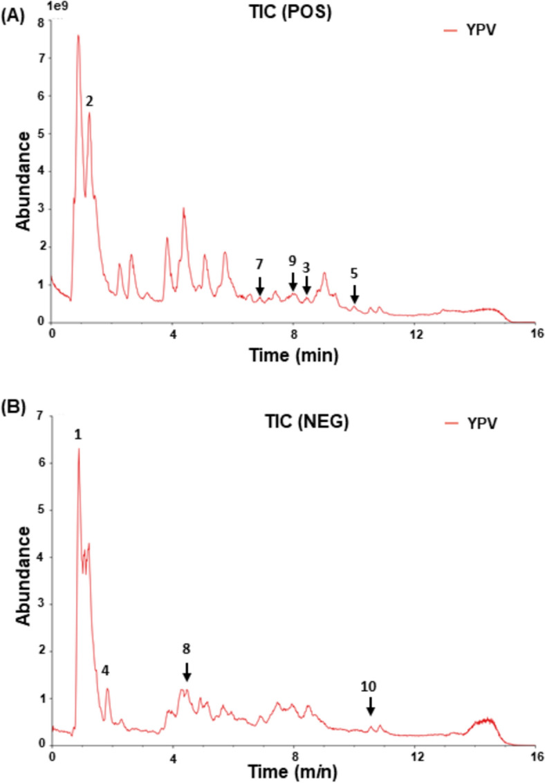 Exploring the efficacy and safety of Yu-Ping-Feng powder with variation against allergic rhinitis: a randomized, double-blind, placebo-controlled trial.