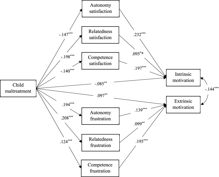 Role of Sports Motivation and Basic Psychological Needs in the Relationship Between Child Maltreatment and Psychological Adaptation in Adolescents.