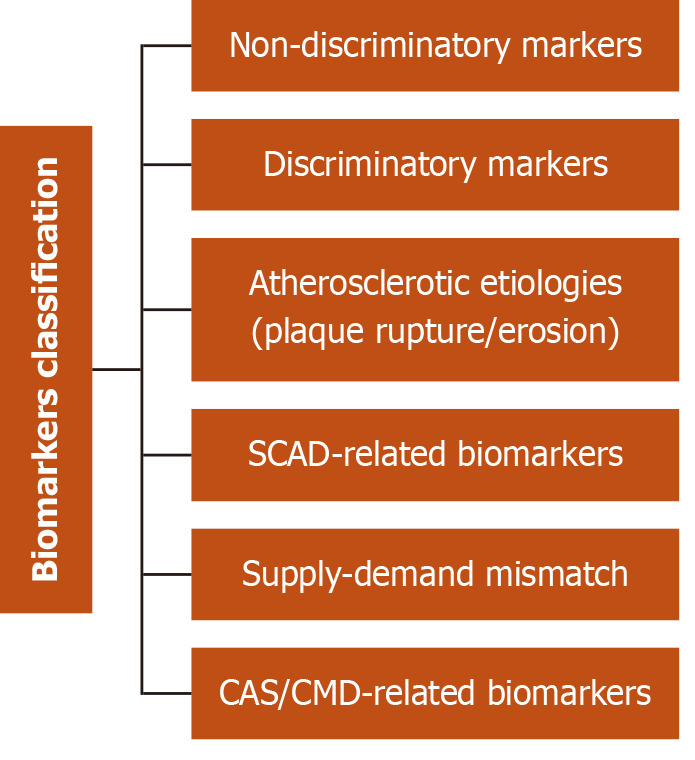 Myocardial ischemia in nonobstructive coronary arteries: A review of diagnostic dilemmas, current perspectives, and emerging therapeutic innovations.