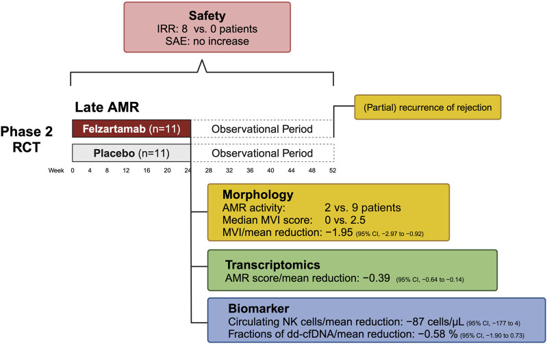 Targeting CD38 in Antibody-Mediated Rejection.