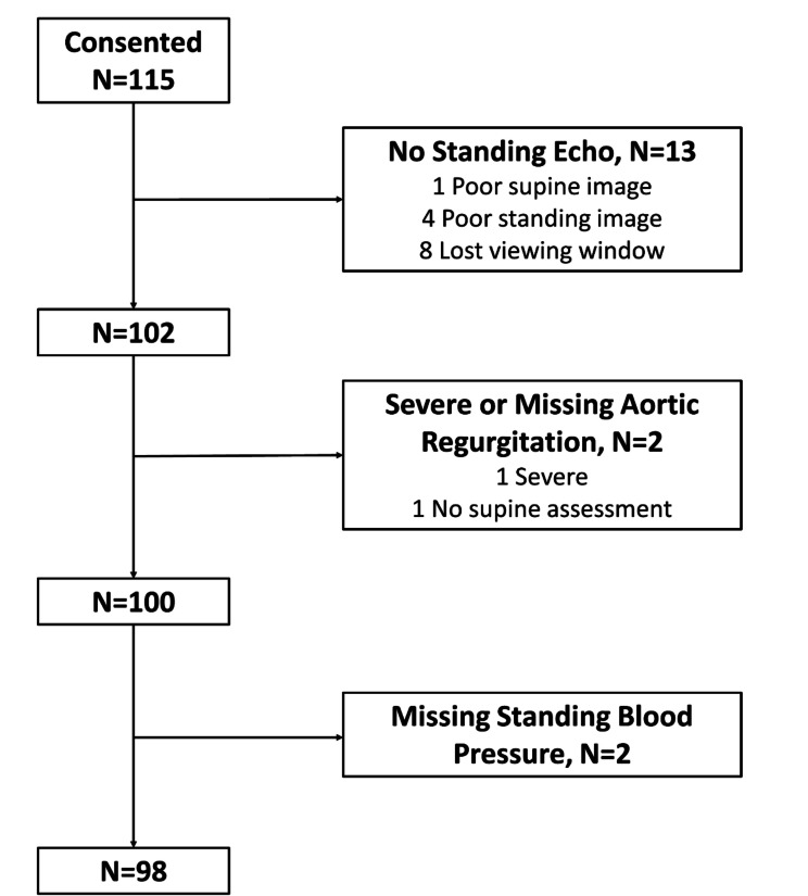 Standing transthoracic echocardiography: a feasibility study.