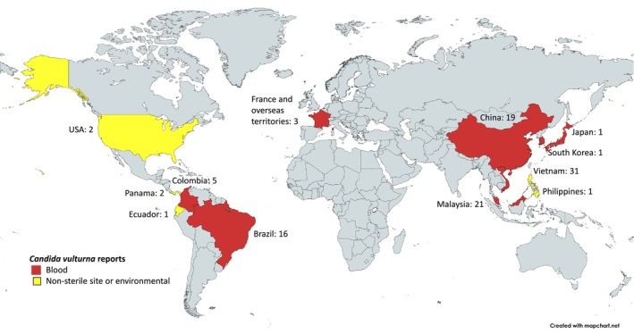 Candida vulturna, the Next Fungal Menace? A Narrative Review.