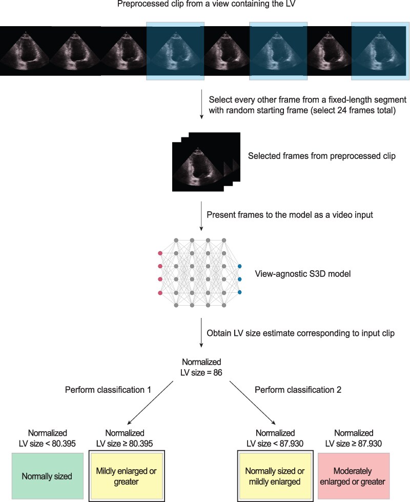 A deep learning model for classifying left ventricular enlargement for both transthoracic echocardiograms and handheld cardiac ultrasound.