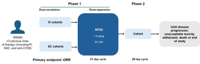 Relapsed/refractory multiple myeloma: standard of care management of patients in the Gulf region.