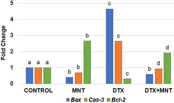 Montelukast reduced docetaxel-induced peripheral neuropathy in rats by altering oxidative stress, histopathological damage, and gene expressions.