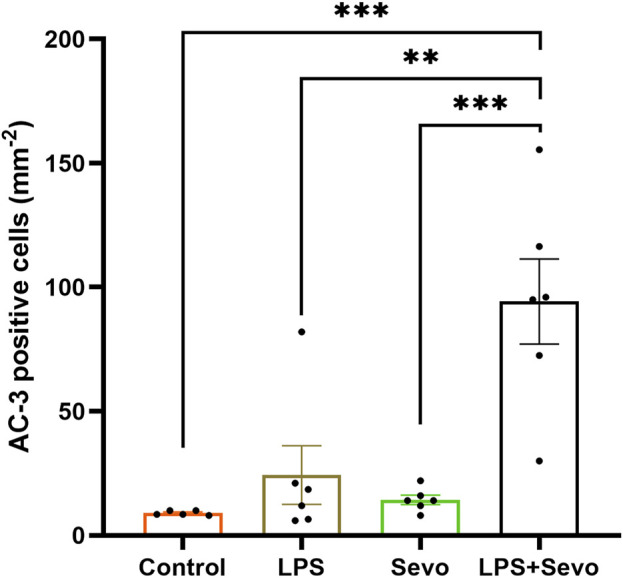 Anesthesia-induced developmental neurotoxicity in the setting of systemic inflammation: the role of microglia.