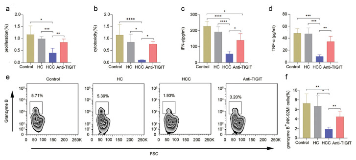 Potential Roles of Serum Exosomal CD155 and its Impact on NK Cell Immunosuppression in Hepatocellular Carcinoma.