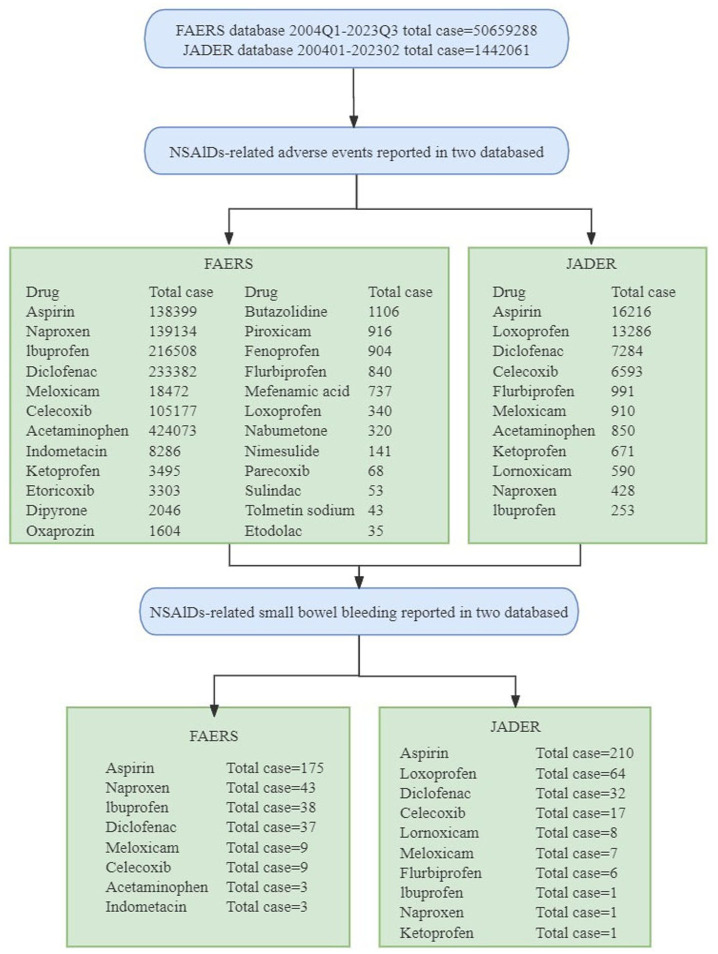 Pharmacovigilance analysis of small bowel bleeding associated with NSAIDs.