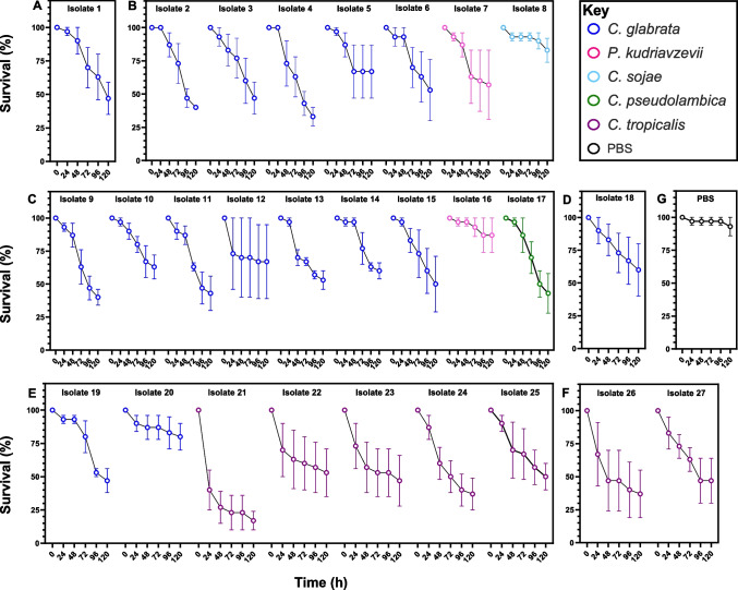 Thermotolerance, virulence, and drug resistance of human pathogenic Candida species colonising plastic pollution in aquatic ecosystems