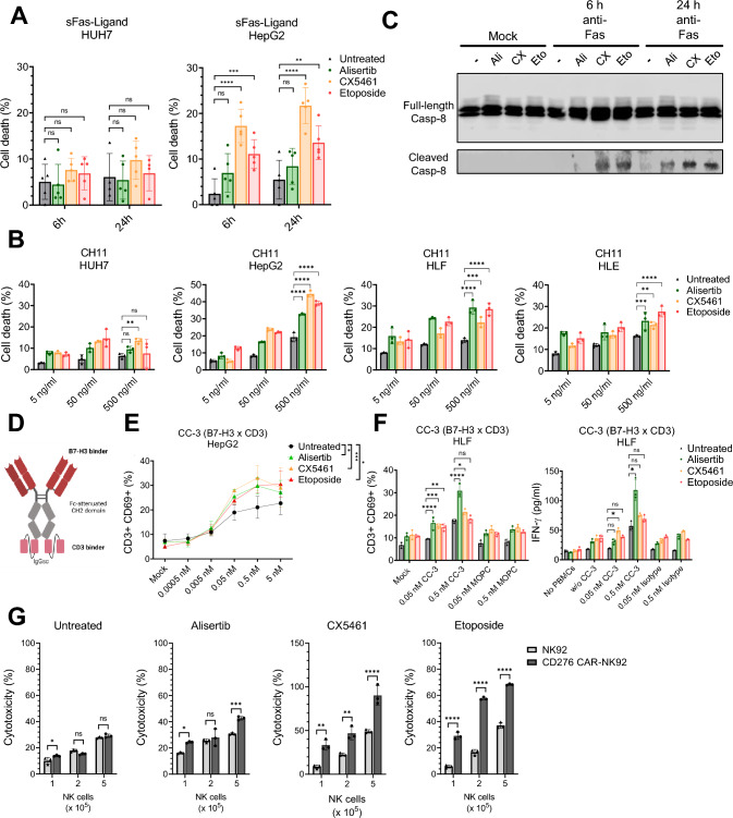 Actionable heterogeneity of hepatocellular carcinoma therapy-induced senescence.