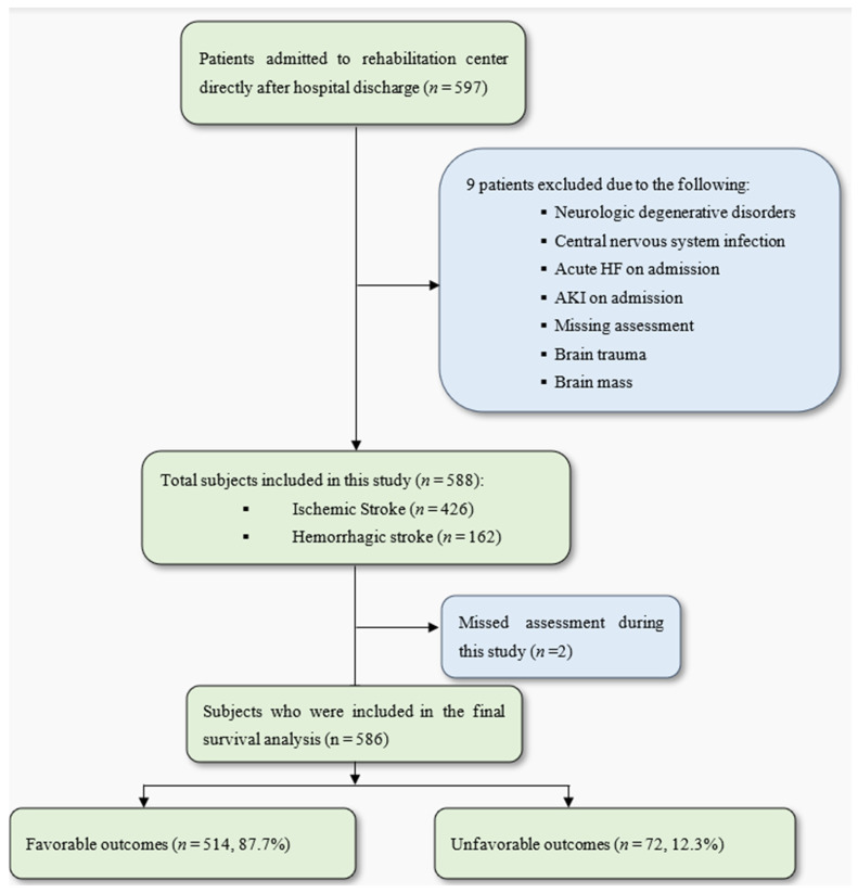 The Impact of Concurrent Chronic Heart Failure and Chronic Kidney Dysfunction on Post-Stroke Rehabilitation Outcomes.