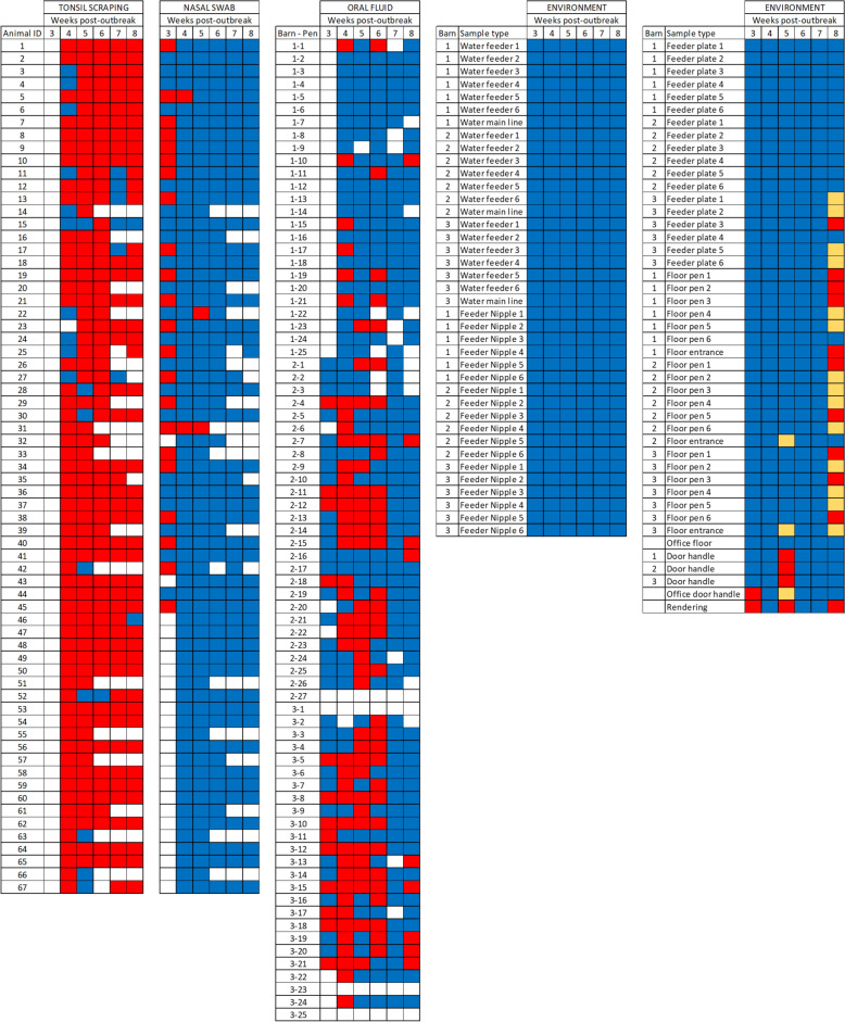 Post-outbreak dynamics and persistence of Actinobacillus pleuropneumoniae serotype 15 in finisher pigs in Iowa.