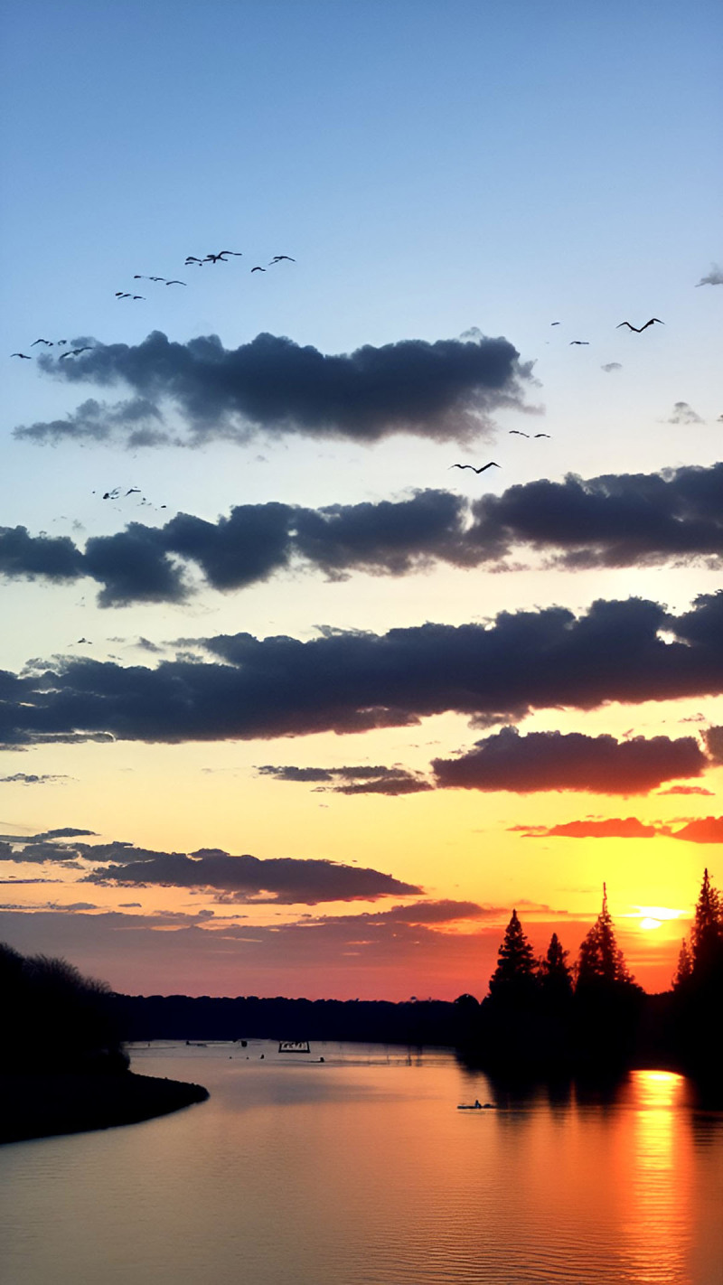 Birds in Flight.