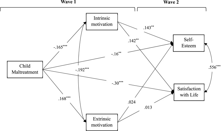 Role of Sports Motivation and Basic Psychological Needs in the Relationship Between Child Maltreatment and Psychological Adaptation in Adolescents.