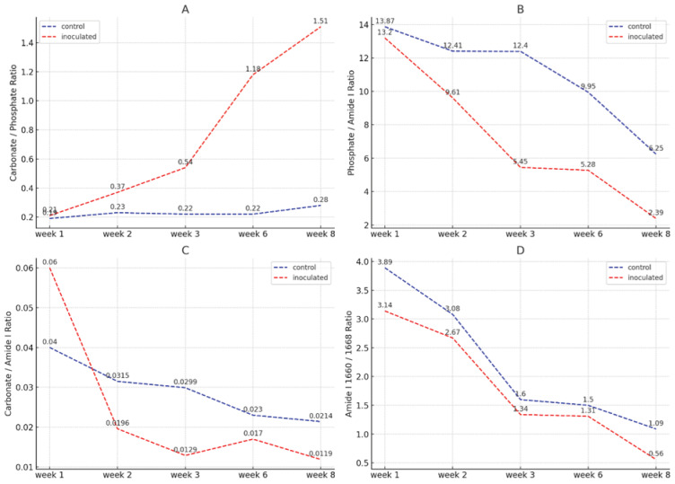 Biofilm-Induced Bone Degradation in Osteomyelitis: <i>Insights from a comprehensive ex vivo pathogen interaction study</i>.
