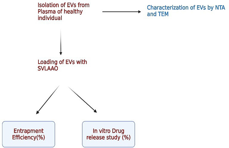 Comparative study on drug encapsulation and release kinetics in extracellular vesicles loaded with snake venom L - amino acid oxidase.