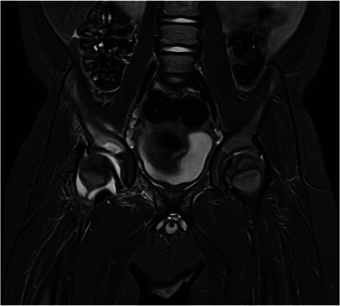 Abstract Image