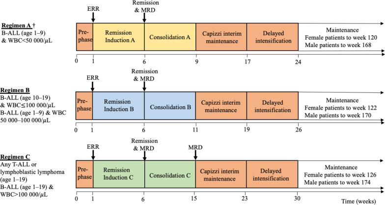 Clinical characteristics and outcomes of paediatric acute lymphoblastic leukaemia in a tertiary hospital in Tanzania: a single-centre observational study.