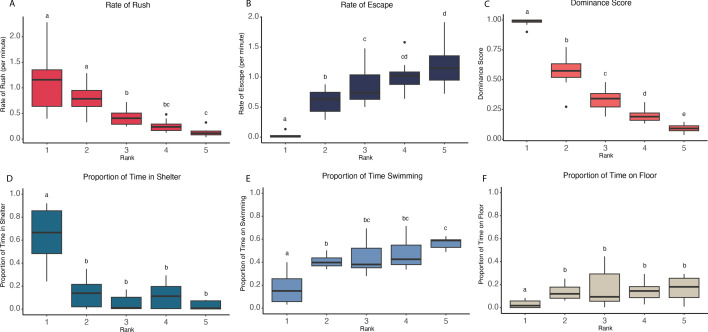 Behavioural and neural correlates of social hierarchy formation in a sex-changing fish.