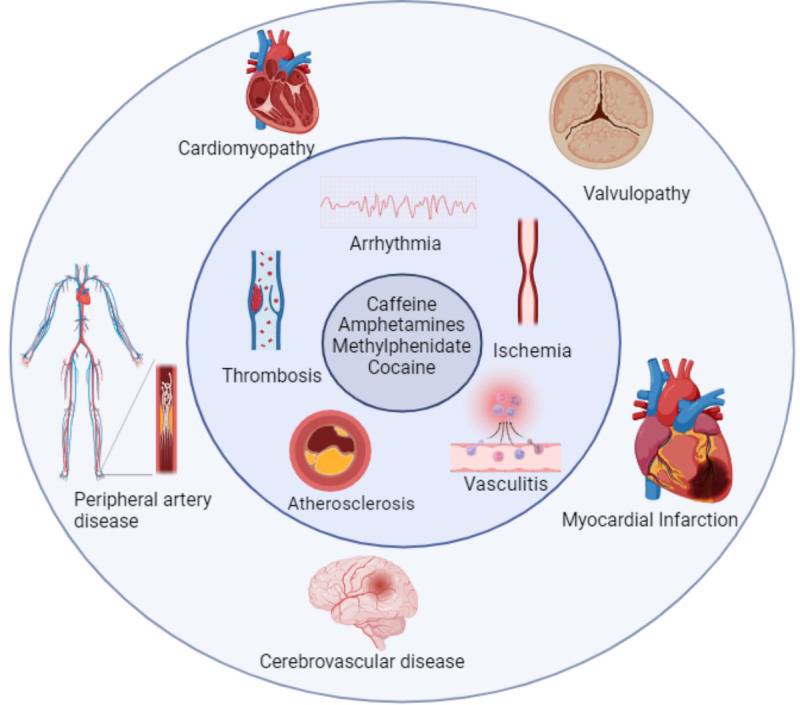 Heartbreakers: Decoding the Molecular Dynamics of Stimulants Abuse on the Cardiovascular System.