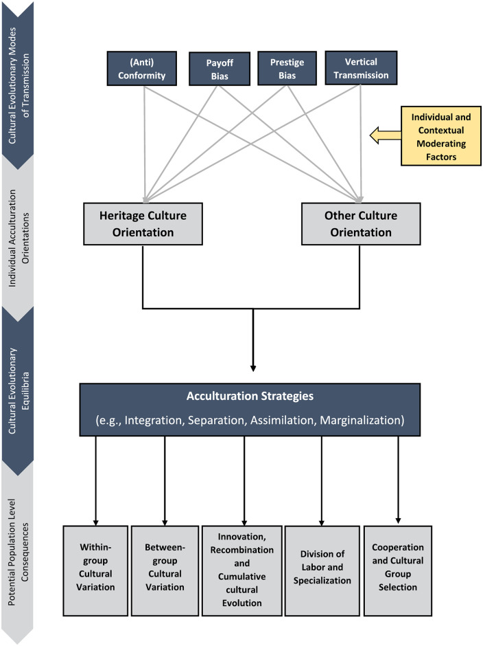 Decoding the Dynamics of Cultural Change: A Cultural Evolution Approach to the Psychology of Acculturation.
