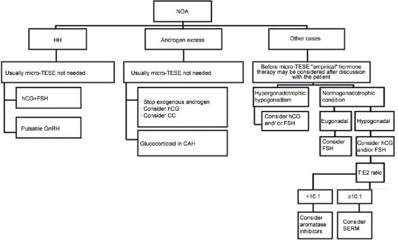 Medical treatment prior to micro-TESE.