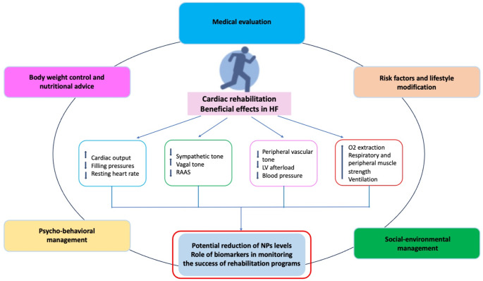 Monitoring the Effects of Cardiac Rehabilitation Programs in Heart Failure Patients: The Role of Biomarkers.