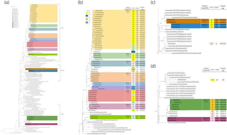 Clonal dissemination and persistence of Carbapenem-resistant <i>bla</i> <sub>KPC-2</sub> harbouring <i>Klebsiella pneumoniae</i> ST307 in a Tertiary Hospital in the Republic of Korea.