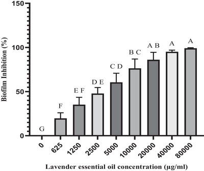 Evaluating the Antimicrobial and Antibiofilm Efficacy of Lavender Essential Oil and Linalool on Dual Candida albicans Biofilms With Staphylococcus aureus and Staphylococcus epidermidis From Canine External Otitis.
