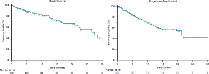 Pembrolizumab plus Lenvatinib in patients with metastatic Renal Cell Carcinoma: real-world evidences from the international ARON- 1 study.