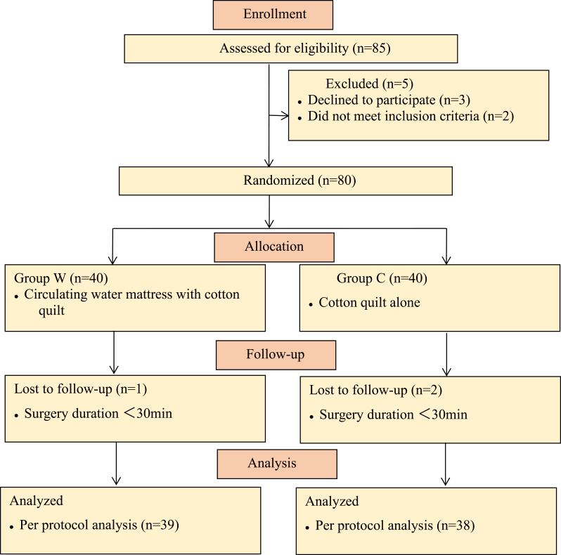 Circulating-Water Mattress Enhances Thermal Comfort and Patient Satisfaction but Shows Non-Superiority in Temperature Maintenance in Ophthalmic Day-Case Surgery: A Randomized Controlled Trial.