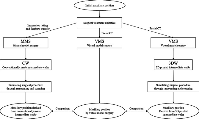 Comparison of manual and virtual model surgery for wafer fabrication in maxillary repositioning: an in vitro study.