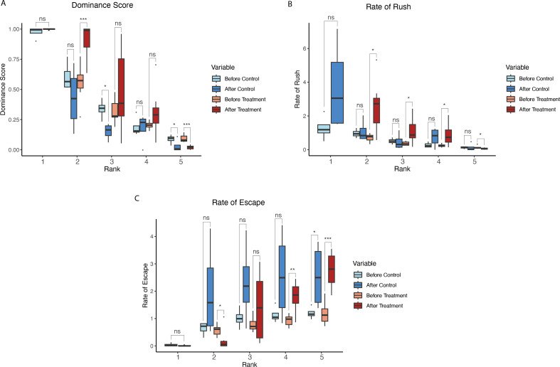 Behavioural and neural correlates of social hierarchy formation in a sex-changing fish.