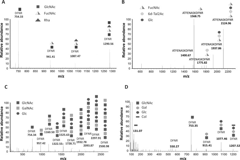 Development of a set of bacterial engineered glycoconjugates as novel serogroup-specific antigens for the serodiagnosis of Escherichia coli O26, O111, O103 and O45 infections associated to hemolytic uremic syndrome.