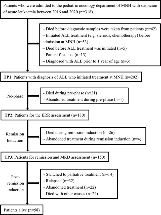 Clinical characteristics and outcomes of paediatric acute lymphoblastic leukaemia in a tertiary hospital in Tanzania: a single-centre observational study.