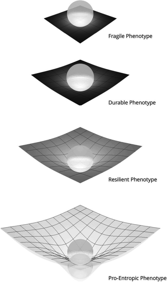Abstract Image