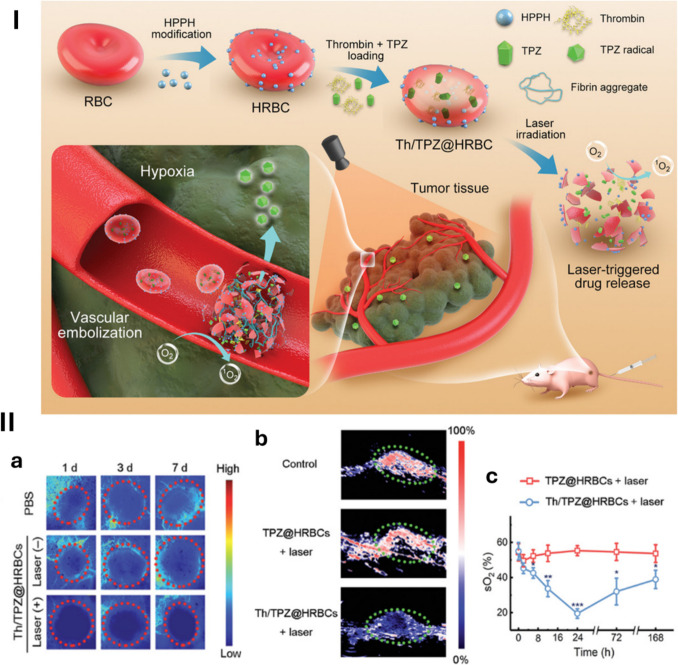 Nanomaterials in cancer starvation therapy: pioneering advances, therapeutic potential, and clinical challenges.
