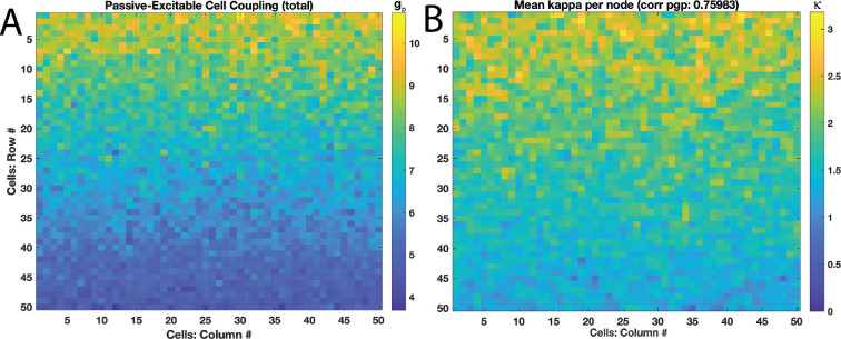 Electrical wave generation and spatial organization in uterine tissue.