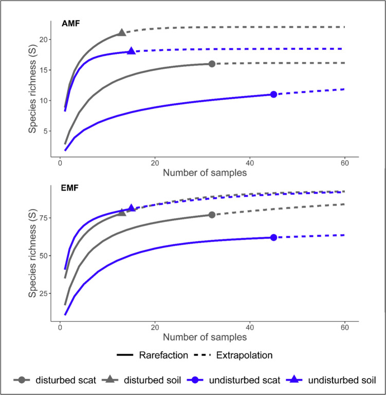The impact of land use change on mycorrhizal fungi and their associations with rodents: insights from a temperate forest in Mexico.