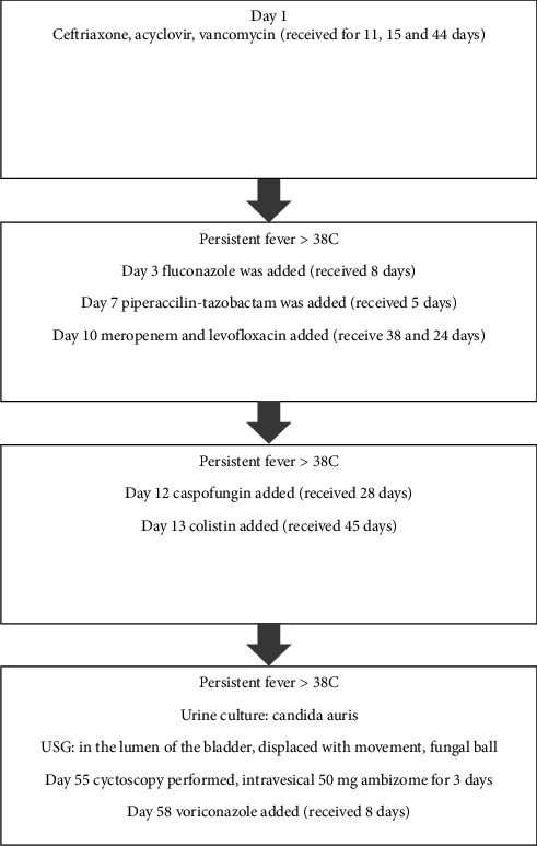 Successful Treatment of Bladder Fungus Ball Due to <i>Candida auris</i> With Systemic/Local Amphotericin B and Surgical Excision.