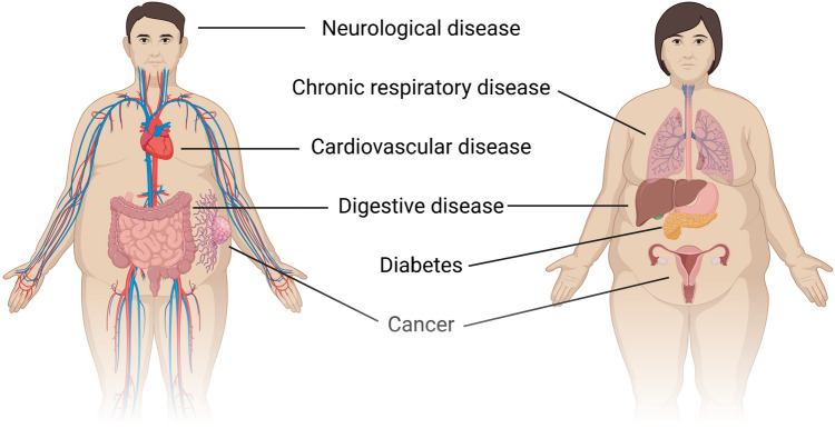 The obesity pandemic and its impact on non-communicable disease burden.