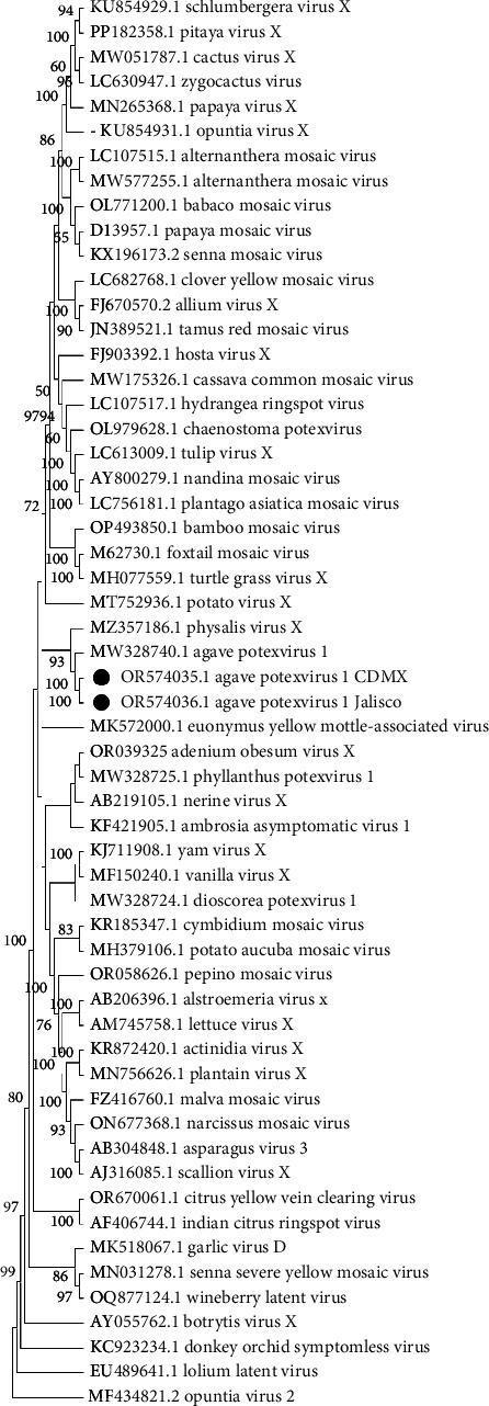 High-Throughput Sequencing Detects a Viral Complex in <i>Agave Tequilana</i> Plants.