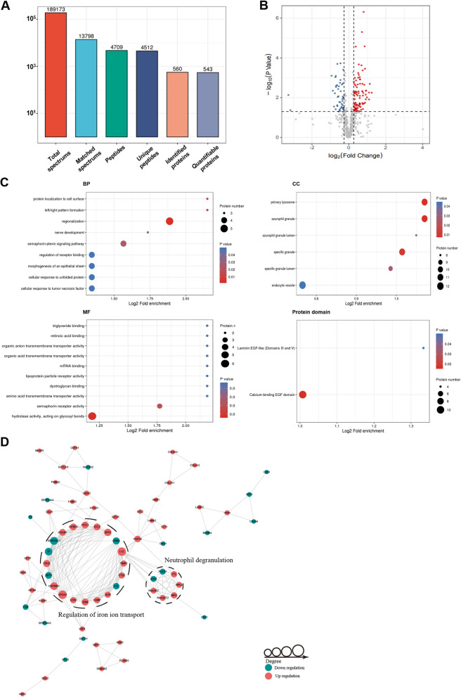 Iron metabolism disorder and artesunate inhibiting tumor growth by inducing ferroptosis in Lymphangioleiomyomatosis.