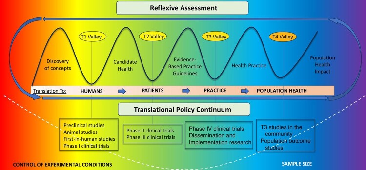 Translational science at the undergraduate level: awakening talents to overcome the valley of death - case report.