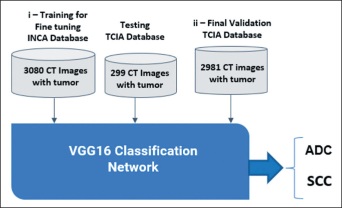 Classification of non-small cell lung cancer by histologic subtype using deep learning in public and private data sets of computed tomography images.